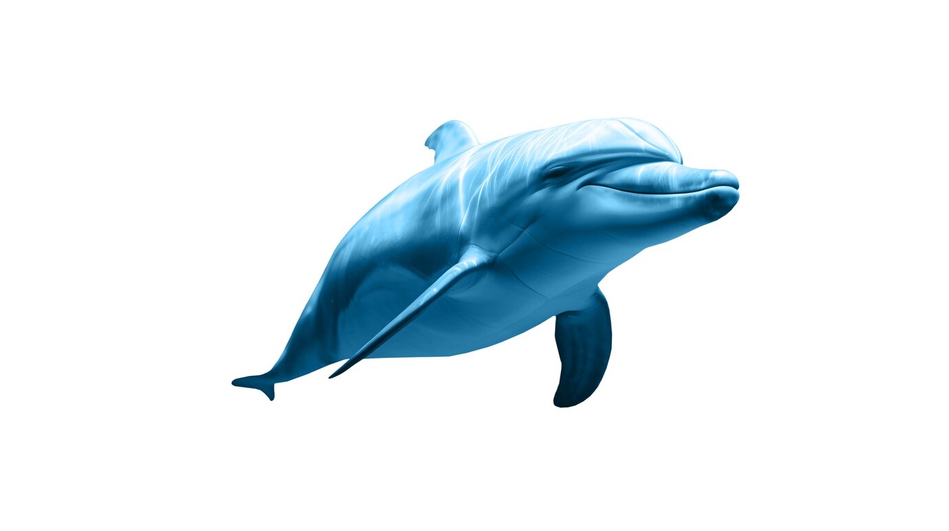 dolphin isolated figure 23 2151390299