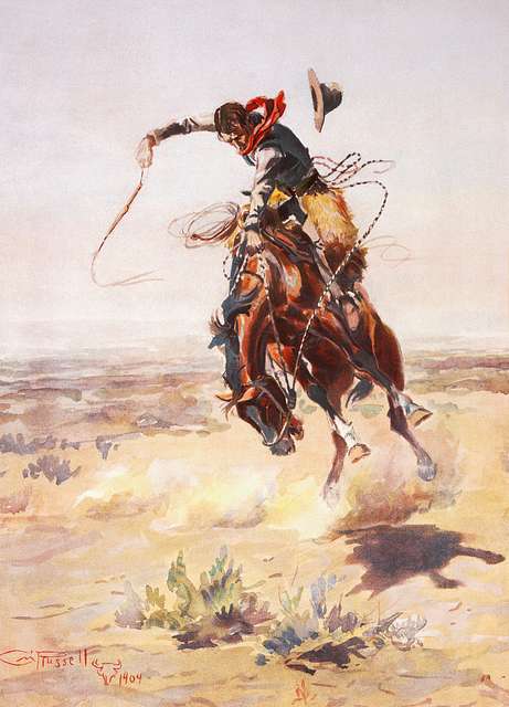 Shoulda Been A Cowboy